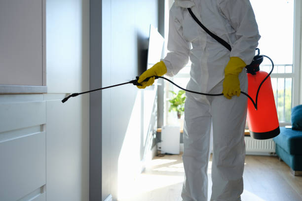 Best Mold Cleaning Services  in Superior, CO