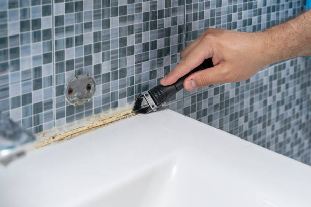 Best Mold Damage Repair  in Superior, CO