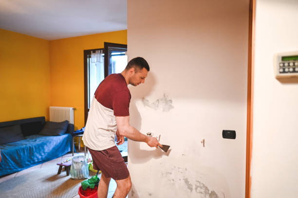 Best Local Mold Removal Service  in Superior, CO